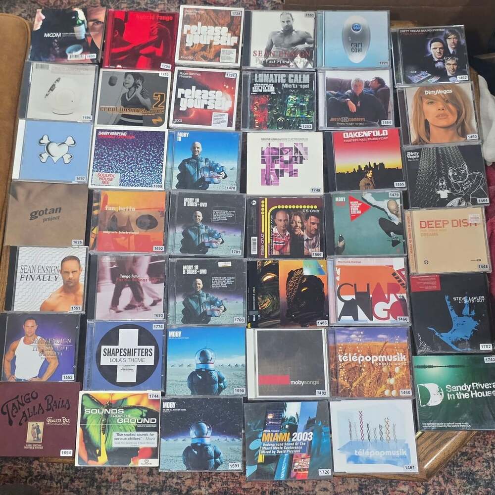 Electronic Dance 41 CD Lot Moby Thievery Gotan Project Dirty Vegas House